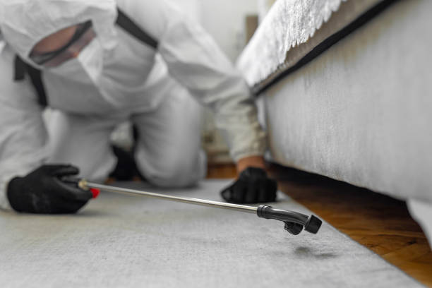 Professional Bed Bug Control technician working in Tonganoxie, KS