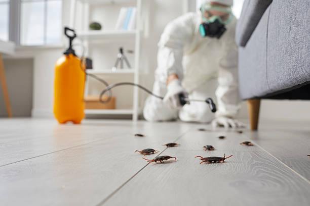 Trusted Termite Control service in Tonganoxie, KS - Nex Pest Control