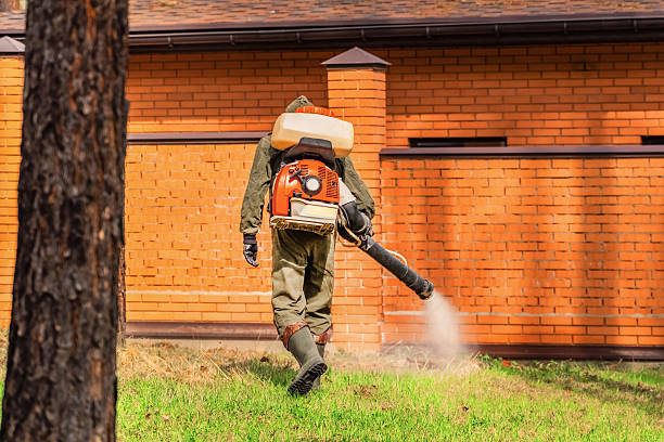 Trusted Mosquito Control service in Tonganoxie, KS - Nex Pest Control